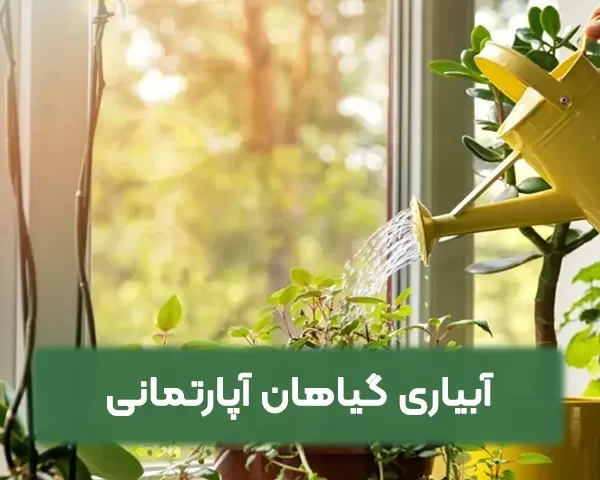آبیاری گیاهان آپارتمانی