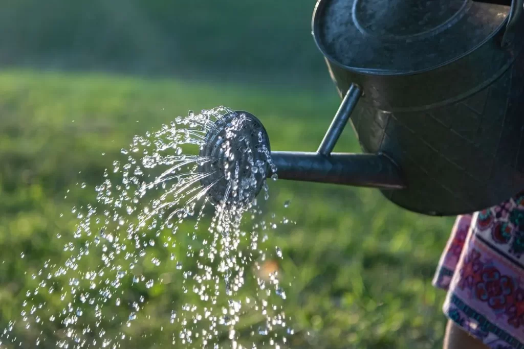 آب مقطر برای گیاهان