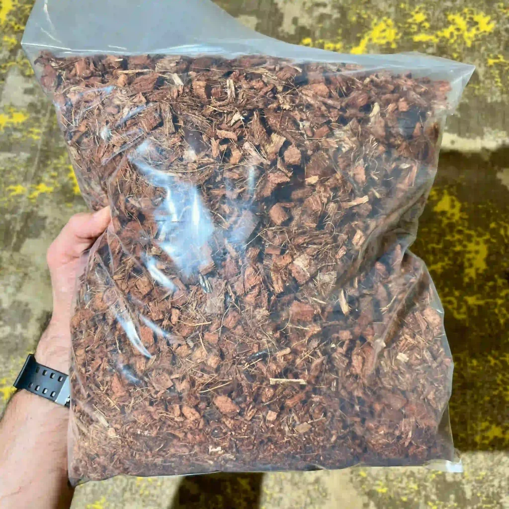 سسس (1) کوکوچیپس شسته شده