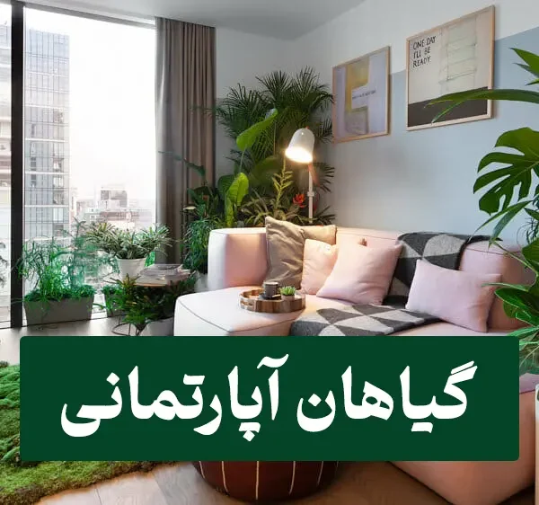 گیاهان آپارتمانی