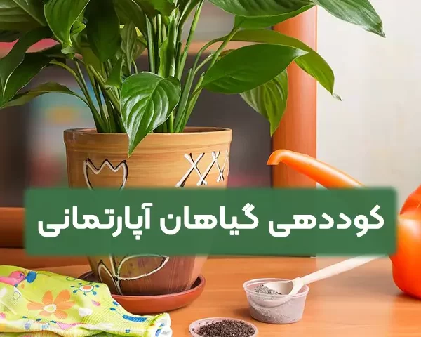 کوددهی