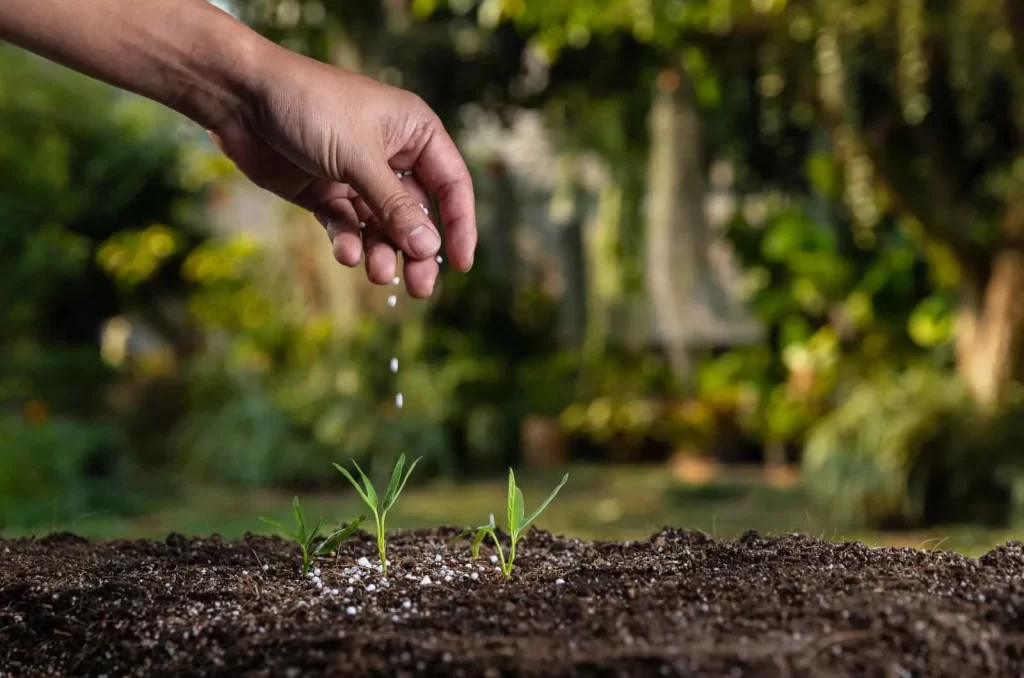 17-17-17-Fertilizer-Everything-You-Need-To-Know کمبود کلسیم در گیاهان