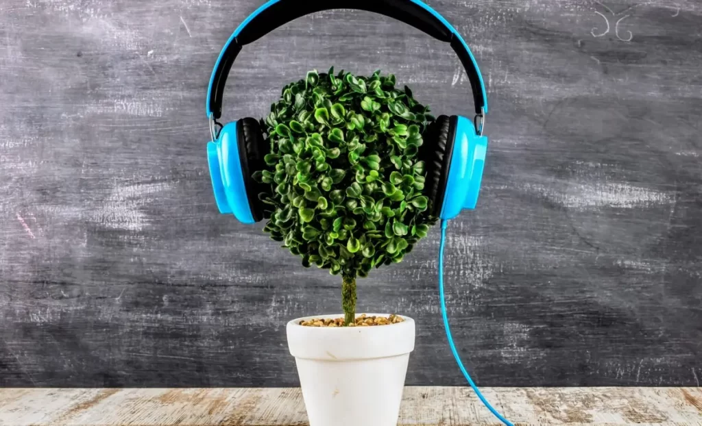 Music-plants-1400x850 موزیک گیاهان