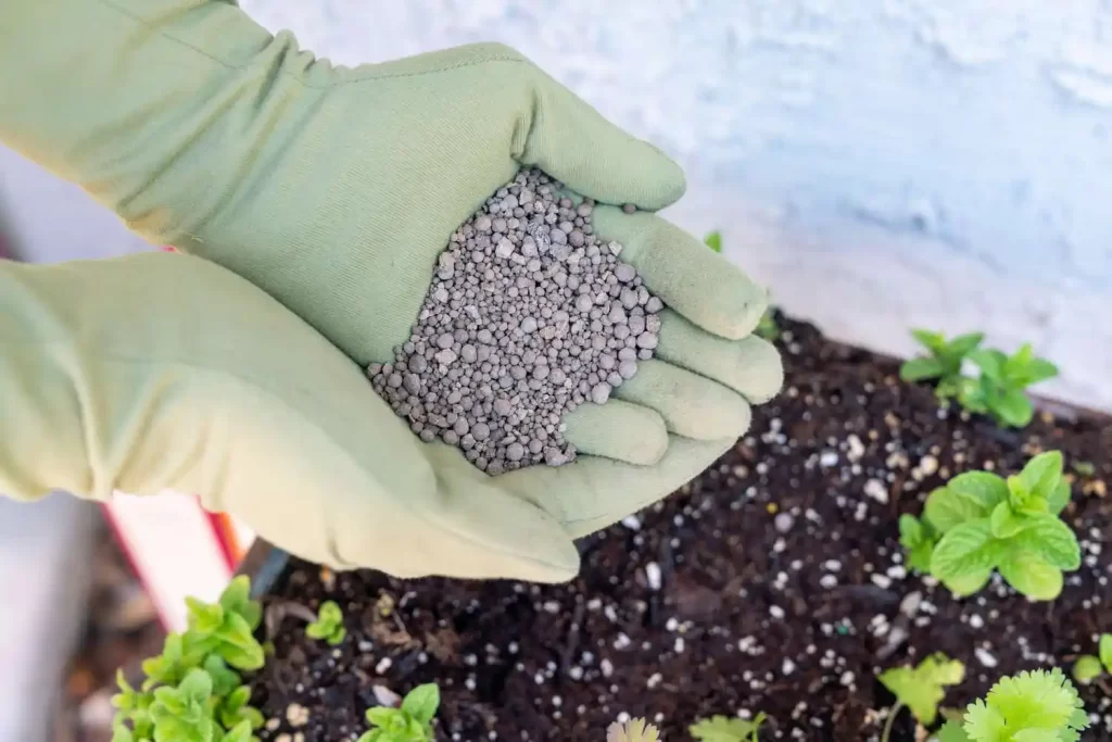 adding-calcium-to-soil-4773599-hero-d3bb48f9ff7d40f2bbba237145716152 کلسیم برای گیاهان