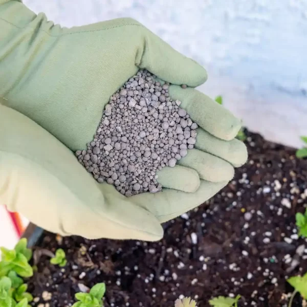 adding calcium to soil 4773599 hero d3bb48f9ff7d40f2bbba237145716152