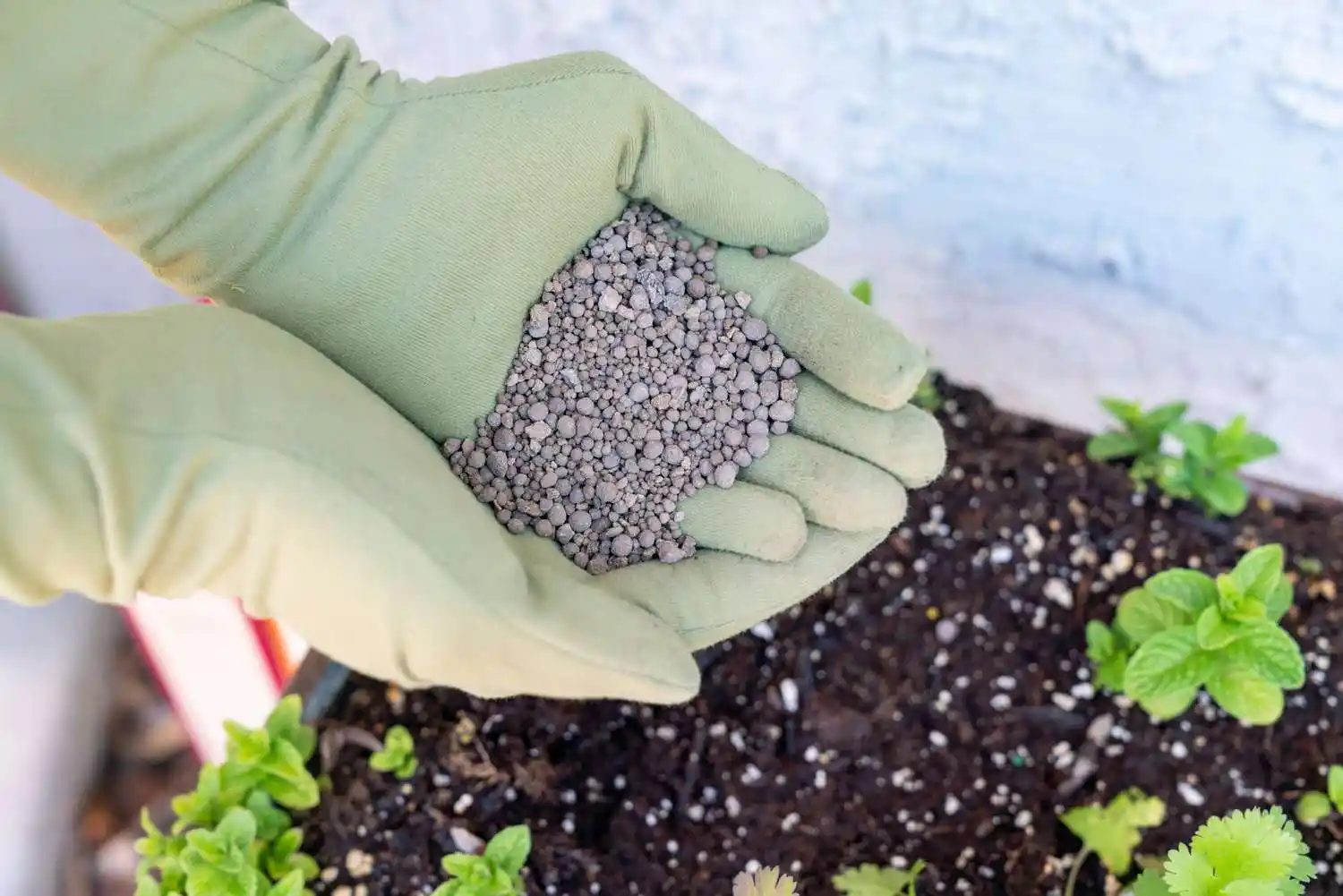 adding calcium to soil 4773599 hero d3bb48f9ff7d40f2bbba237145716152