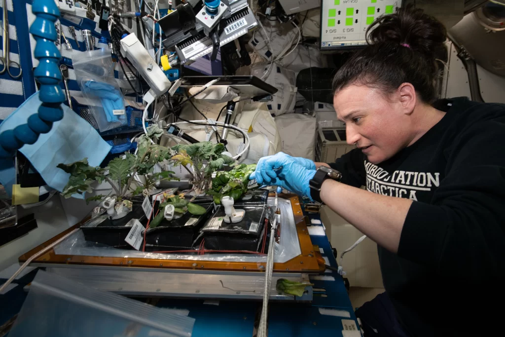 astronaut-serena-harvest-iss گیاهان در مریخ