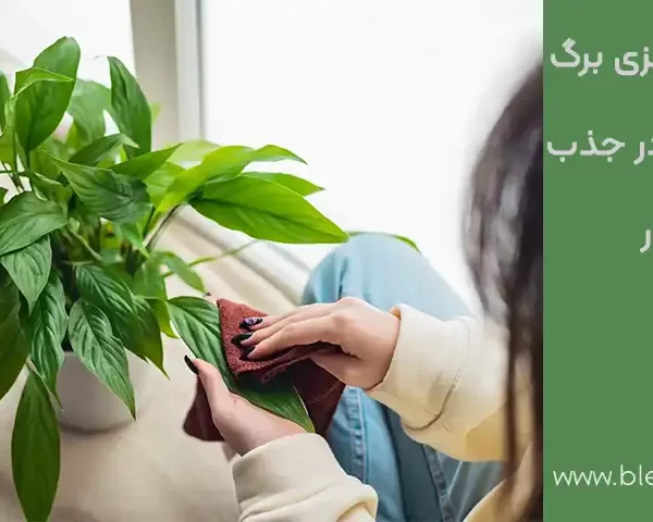 تمیز کردن برگ گیاهان