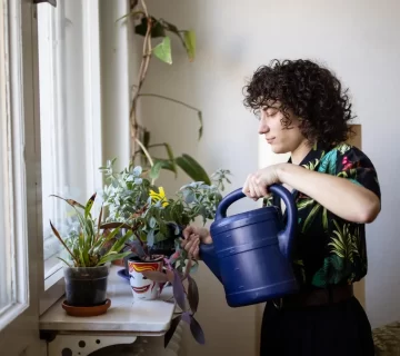 beginner plant
