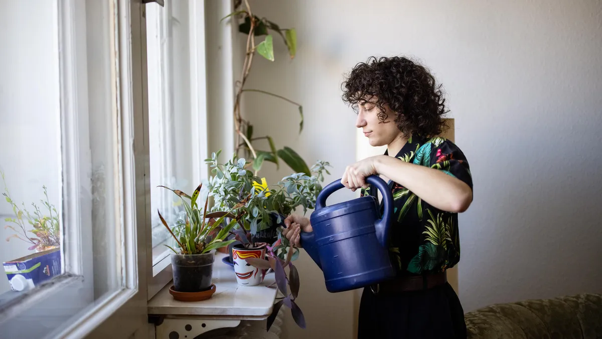 beginner plant