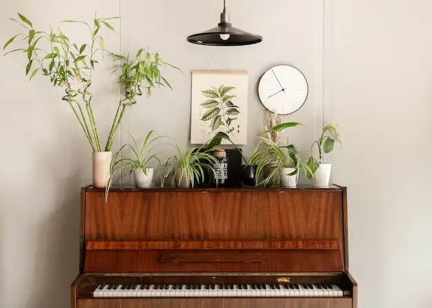 piano-with-different-plants-cozy-room-interior_169016-15196 تاثیر موزیک برای گیاهان