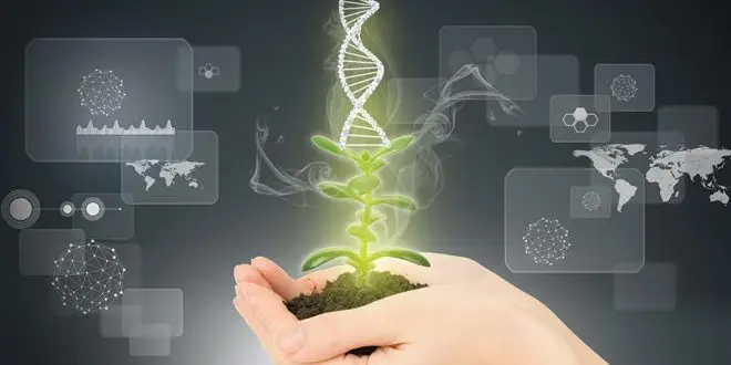 plant-breeding-660x330 قدرت درک گیاهان