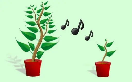 plant-music موزیک برای گیاهان