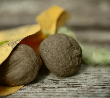 کپسول بذر