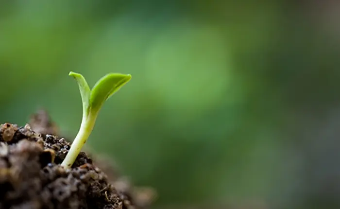 shutterstock_103452785medium-700x430 shutterstock 103452785medium 700x430 1