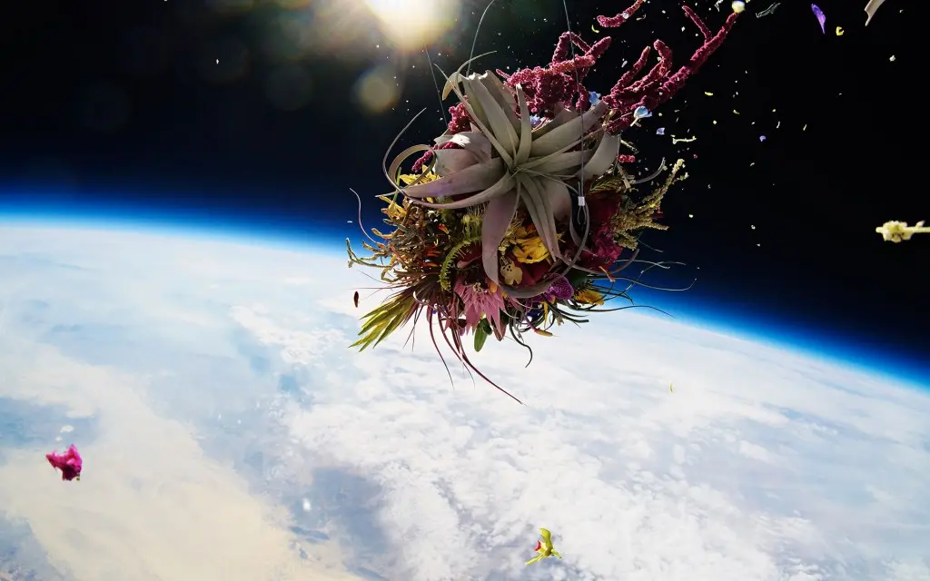 space تکثیر گیاهان در مریخ
