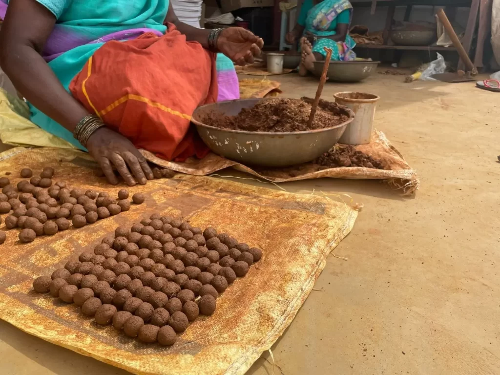 tree-seed-ball کپسول بذر