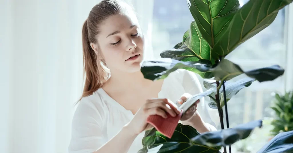 winter-plants-1604690332149 برگ تمیز