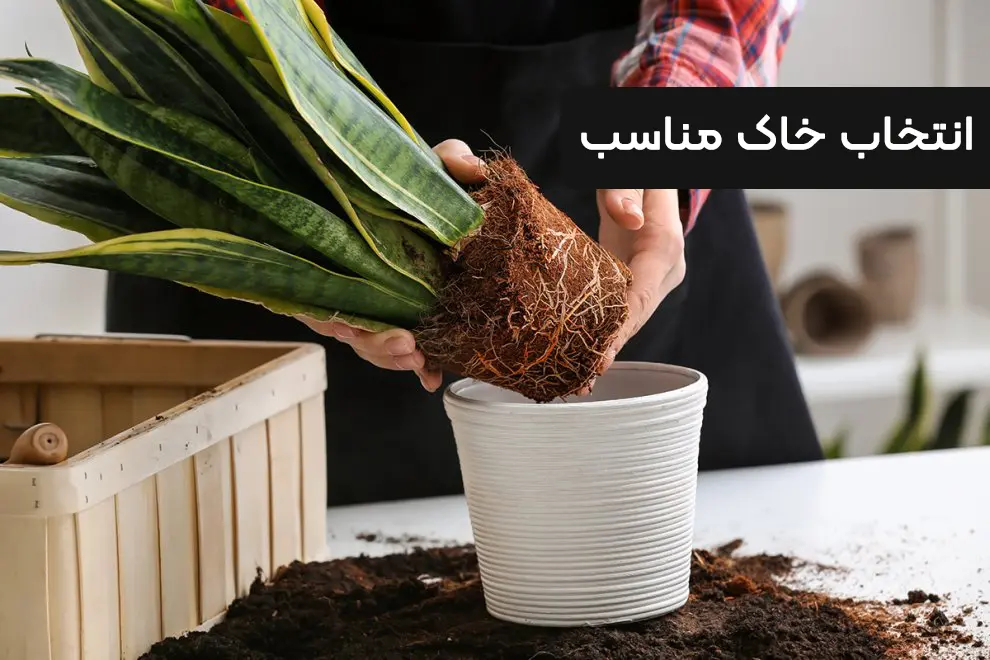 انتخاب خاک مناسب انتخاب خاک مناسب