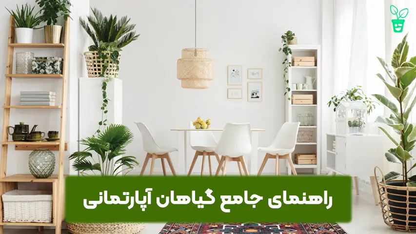 راهنمای جامع گیاهان آپارتمانی