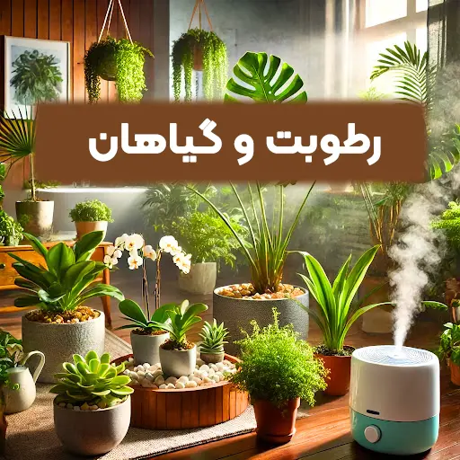 رطوبت برای گیاهان