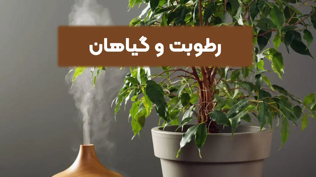 رطوبت و گیاهان رطوبت و گیاهان