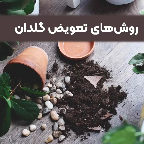 روش‌های تعویض گلدان