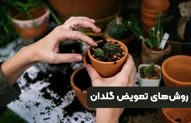 روش‌های تعویض گلدان
