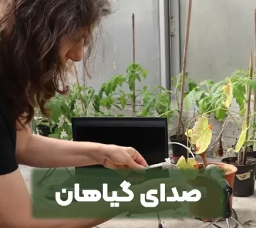 صدای گیاهان