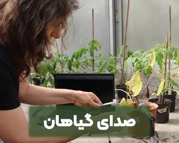 صدای گیاهان