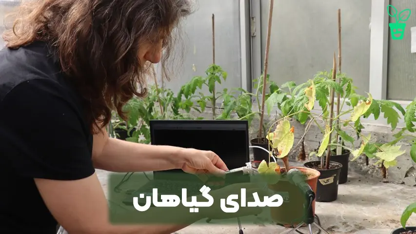 صدای گیاهان