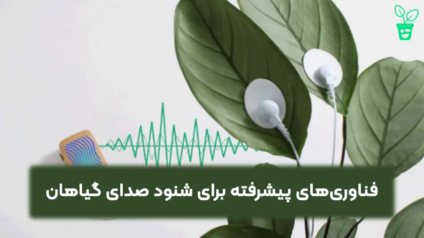فناوری_های پیشرفته برای شنود صدای گیاهان فناوریهای پیشرفته برای شنود صدای گیاهان