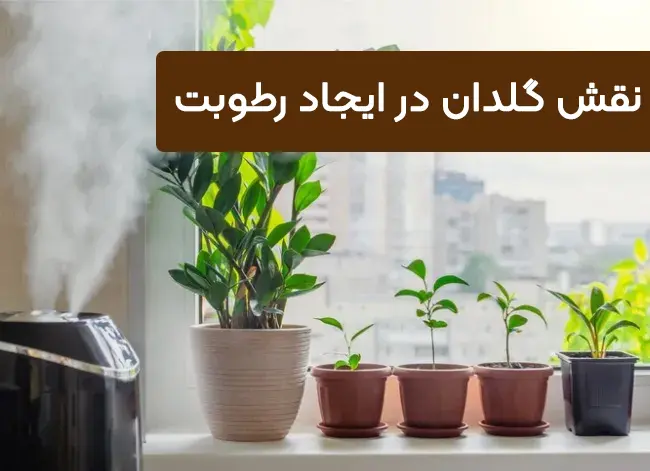 نقش گلدان در ایجاد رطوبت نقش گلدان در ایجاد رطوبت