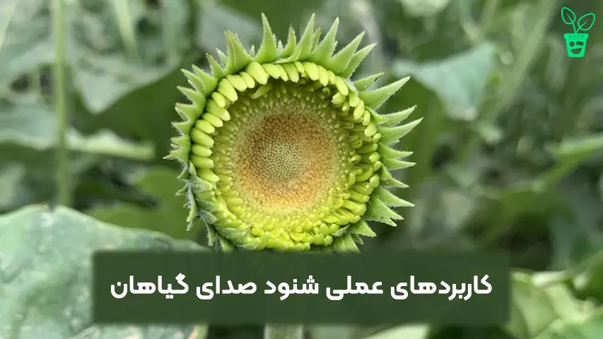 کاربردهای عملی کاربردهای عملی شنود صدای گیاهان