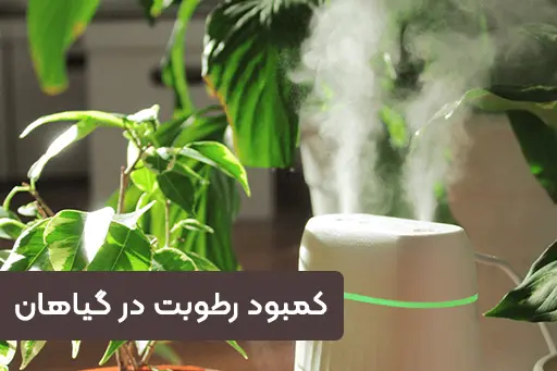 کمیود رطوبت کمبود رطوبت