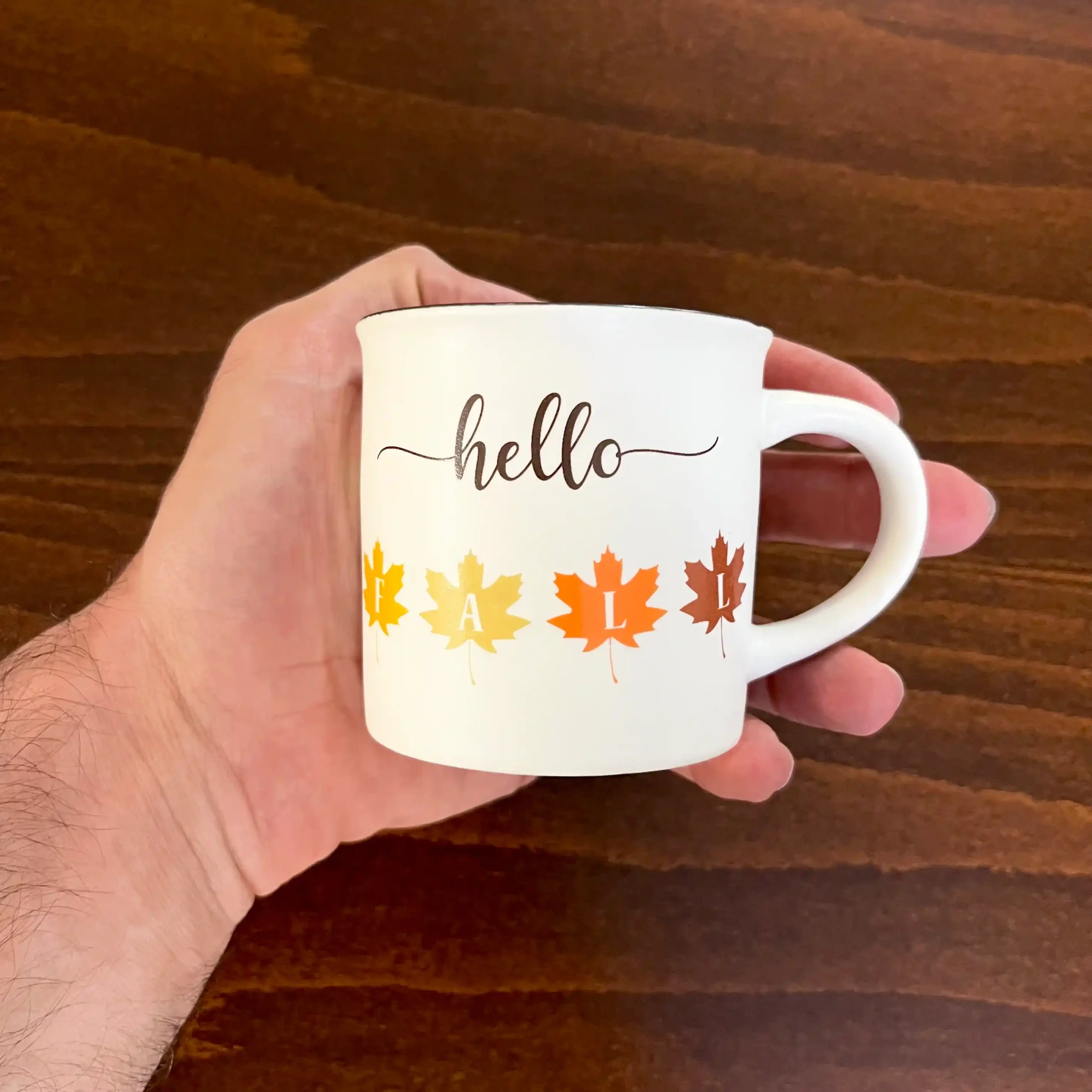 ماگ سرامیکی طرح FAll