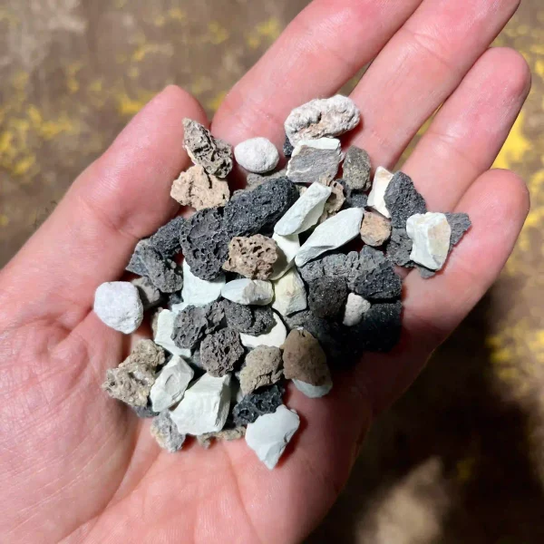 بستر کشت لچوزا