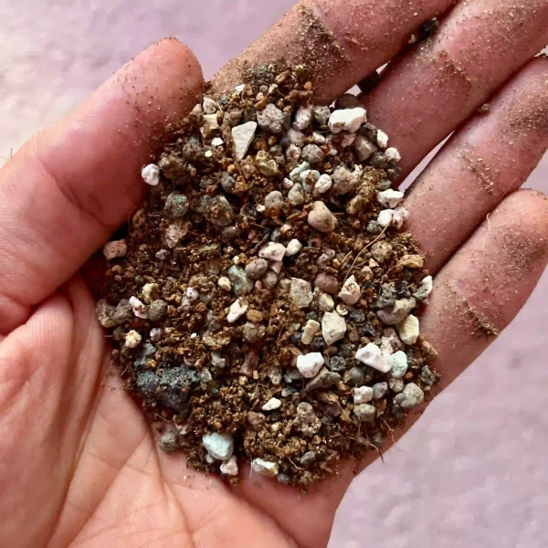 خاک مخصوص گیاه هویا