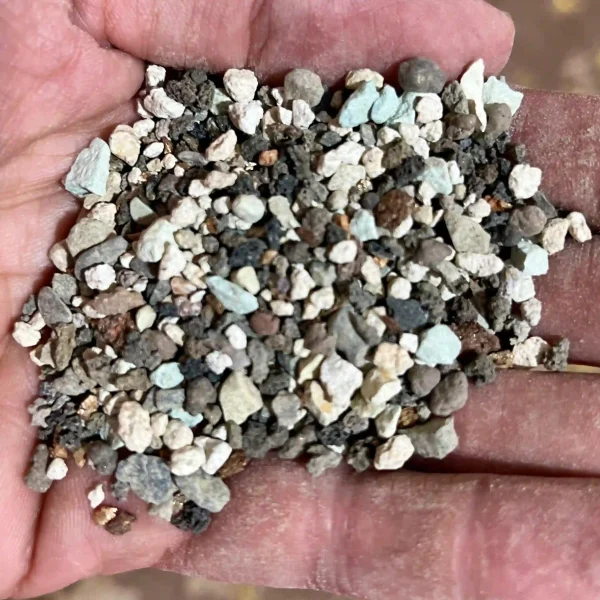 خاک مخصوص کاکتوس و بونسای