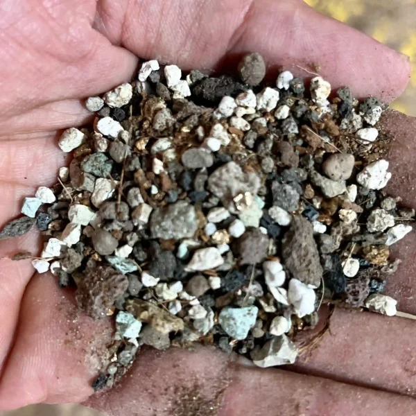 خاک مخصوص زامیفولیا و سانسوریا