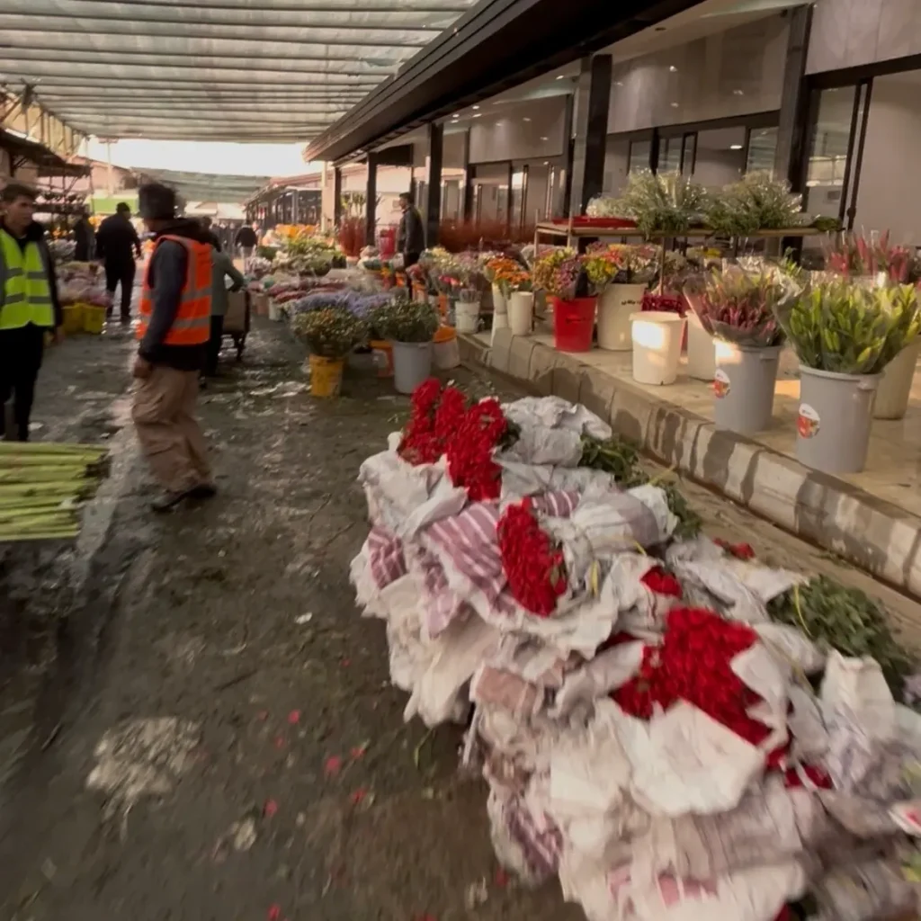 IMG_5475 بازار گل محلاتی