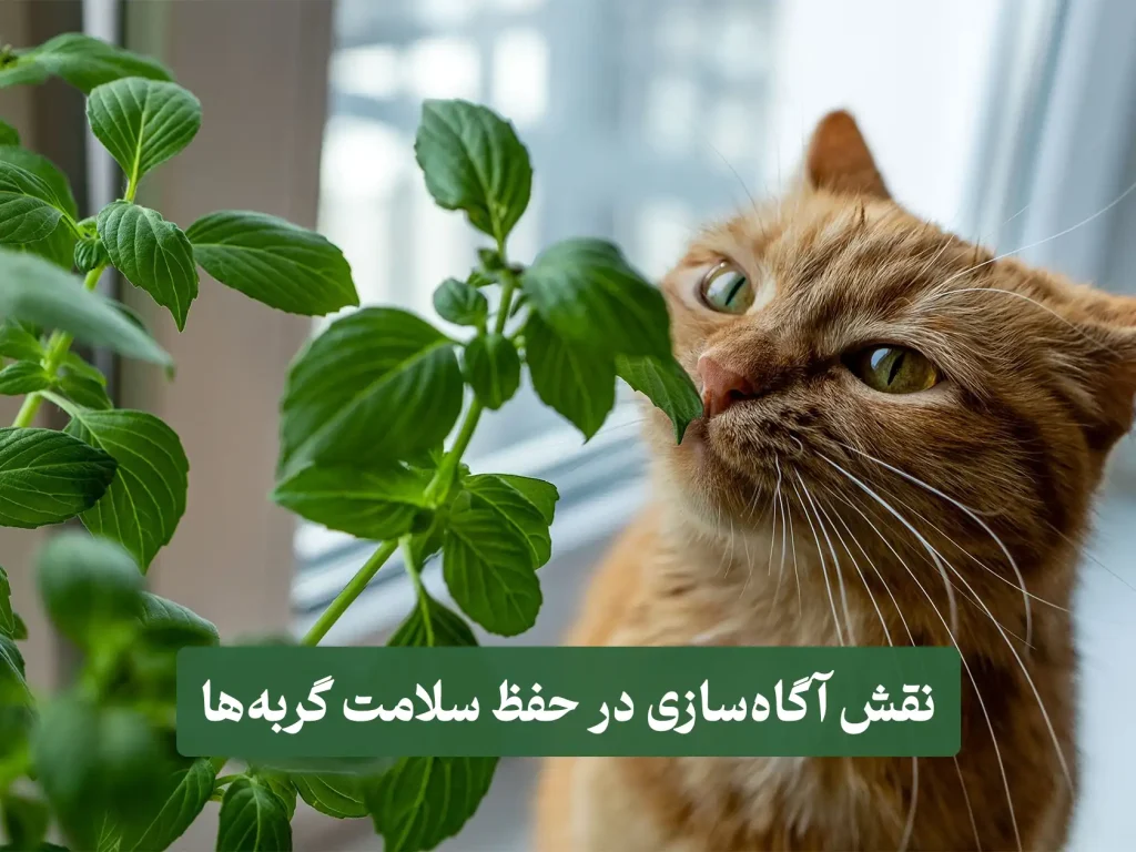 سصططططس گیاهان سمی برای سگ و گربه