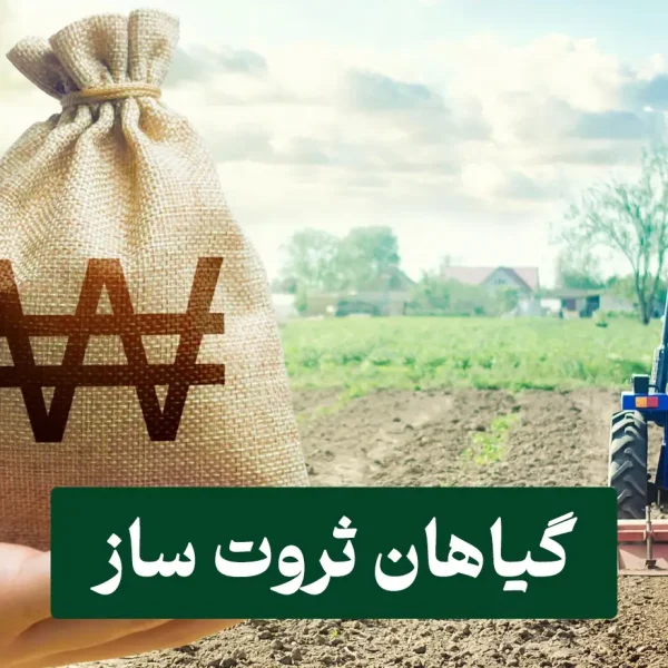 گیاهان ثروت ساز