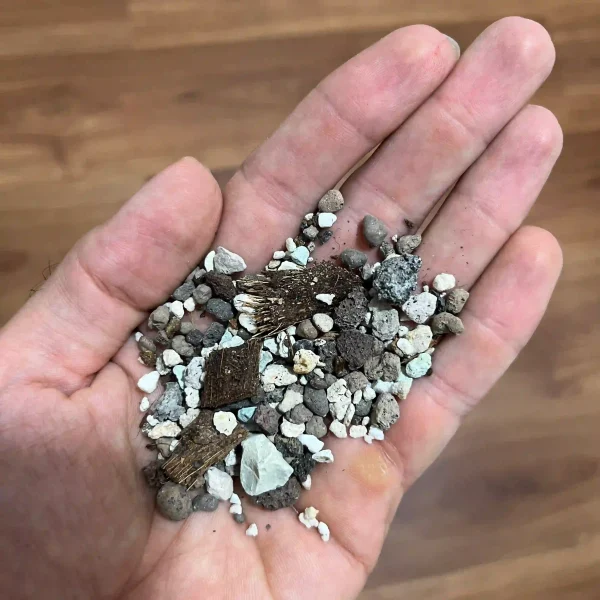 خاک مخصوص گیاه پوتوس