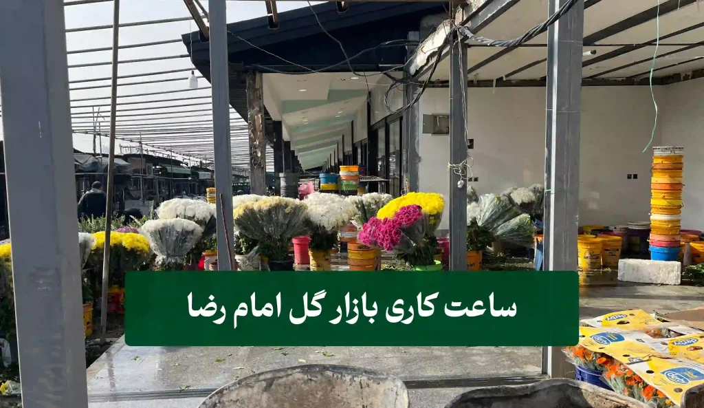 ساعت کاری بازار گل امام رضا