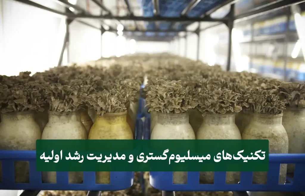 ضسش قیمت لوازم پرورش قارچ در منزل