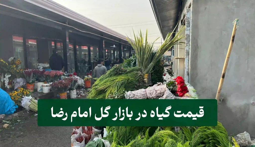 قیمت گیاه در بازار گل امام رضا