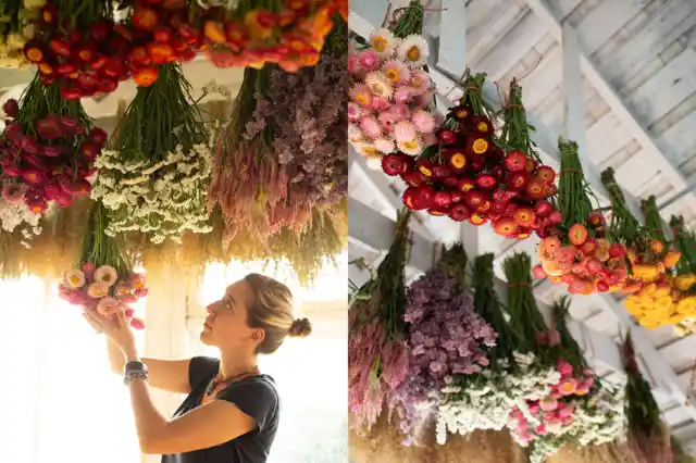 نگهداری از گل خشک برای جلوگیری از کدر شدن رنگ‌ها