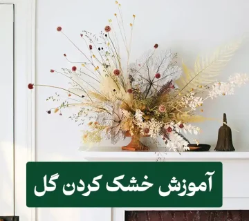 خشک کردن گل بدون تغییر رنگ