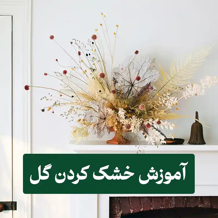 خشک کردن گل بدون تغییر رنگ
